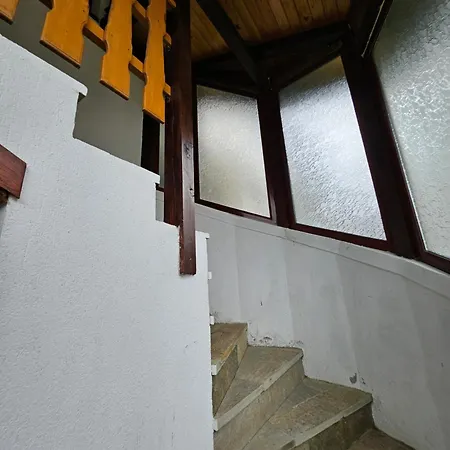 Dilyanka Stokite * Stoykite