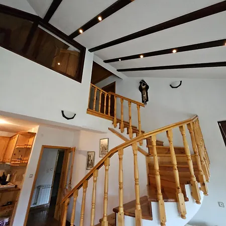 Dilyanka Stokite فيلة Stoykite