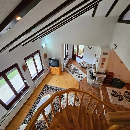 Dilyanka Stokite Stoykite