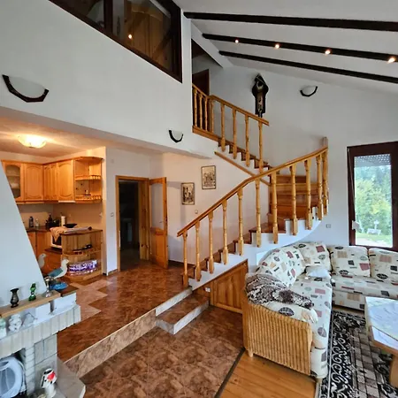 Dilyanka Stokite Stoykite